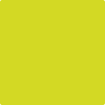 Benjamin Moore's paint color 2025-30 New Lime from Cincinnati Color Company.