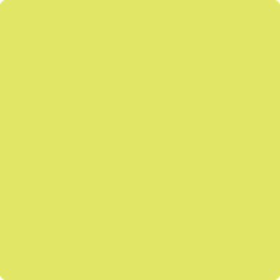 Benjamin Moore's paint color 2025-40 Limelight from Cincinnati Color Company.