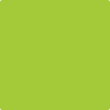 Benjamin Moore's paint color 2026-20 Margarita from Cincinnati Color Company.