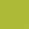 Benjamin Moore's paint color 2027-20 Spring Moss from Cincinnati Color Company.