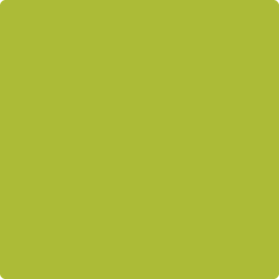 Benjamin Moore's paint color 2027-20 Spring Moss from Cincinnati Color Company.