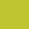 Benjamin Moore's paint color 2027-30 Electric Lime from Cincinnati Color Company.