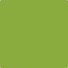 Benjamin Moore's paint color 2028-20 Douglas Fir from Cincinnati Color Company.