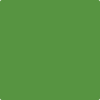 Benjamin Moore's paint color 2029-10 Basil Green from Cincinnati Color Company.