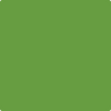 Benjamin Moore's paint color 2029-20 Baby Fern from Cincinnati Color Company.