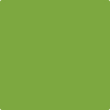 Benjamin Moore's paint color 2029-30 Rosemary Green from Cincinnati Color Company.