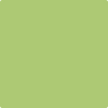 Benjamin Moore's paint color 2029-40 Stem Green from Cincinnati Color Company.