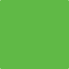 Benjamin Moore's paint color 2030-30 Lucky Charm Green from Cincinnati Color Company.