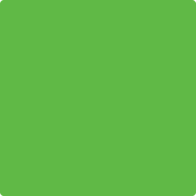 Benjamin Moore's paint color 2030-30 Lucky Charm Green from Cincinnati Color Company.