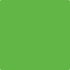Benjamin Moore's paint color 2031-20 Paradise Green from Cincinnati Color Company.