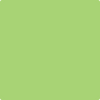 Benjamin Moore's paint color 2031-40 Spring Meadow Green from Cincinnati Color Company.