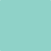 Benjamin Moore's paint color 2042-50 Caribe Green from Cincinnati Color Company.