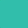 Benjamin Moore's paint color 2045-40 Bahama Green from Cincinnati Color Company.