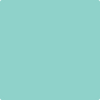 Benjamin Moore's paint color 2047-50 Shore House Green from Cincinnati Color Company.