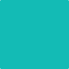Benjamin Moore's paint color 2048-40 Poolside Blue from Cincinnati Color Company.