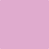 Benjamin Moore's paint color 2075-50 Pink Taffy from Cincinnati Color Company.