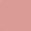 Benjamin Moore's paint color 2088-50 Cool Lava from Cincinnati Color Company.