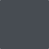 Benjamin Moore's paint color 2119-30 Baby Seal Black from Cincinnati Color Company.
