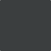 Benjamin Moore's paint color 2120-20 Black Iron from Cincinnati Color Company.