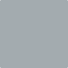 Benjamin Moore's paint color 2125-40 Shadow Gray from Cincinnati Color Company.