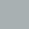 Benjamin Moore's paint color 2134-50 Gull Wing Gray from Cincinnati Color Company.