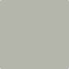 Benjamin Moore's paint color 2137-50 Sea Haze from Cincinnati Color Company.