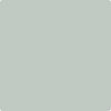 Benjamin Moore's paint color 2139-50 Silver Marlin from Cincinnati Color Company.