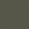 Benjamin Moore's paint color 2140-20 Tuscany Green from Cincinnati Color Company.