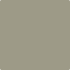 Benjamin Moore's paint color 2141-40 Creekside Green from Cincinnati Color Company.