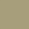 Benjamin Moore's paint color 2143-30 Olive Branch from Cincinnati Color Company.