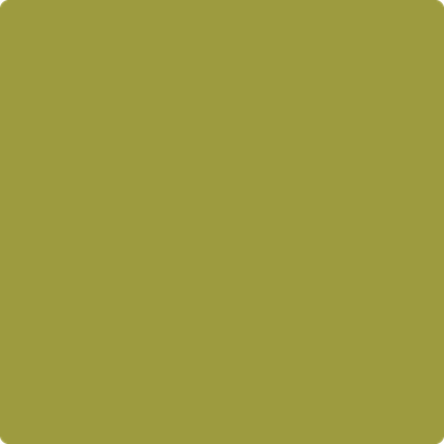 Benjamin Moore's paint color 2146-20 Forest Moss from Cincinnati Color Company.