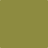 Benjamin Moore's paint color 2147-10 Oregano from Cincinnati Color Company.