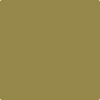 Benjamin Moore's paint color 2149-20 G.I. Green from Cincinnati Color Company.