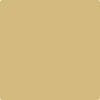 Benjamin Moore's paint color 2151-40 Sulfur Yellow from Cincinnati Color Company.