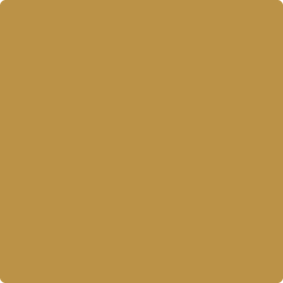 Benjamin Moore's paint color 2152-20 Aztec Yellow from Cincinnati Color Company.