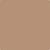 Benjamin Moore's paint color 2164-40 Serengeti Sand from Cincinnati Color Company.