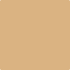 Benjamin Moore's paint color 2165-40 Dark Beige from Cincinnati Color Company.