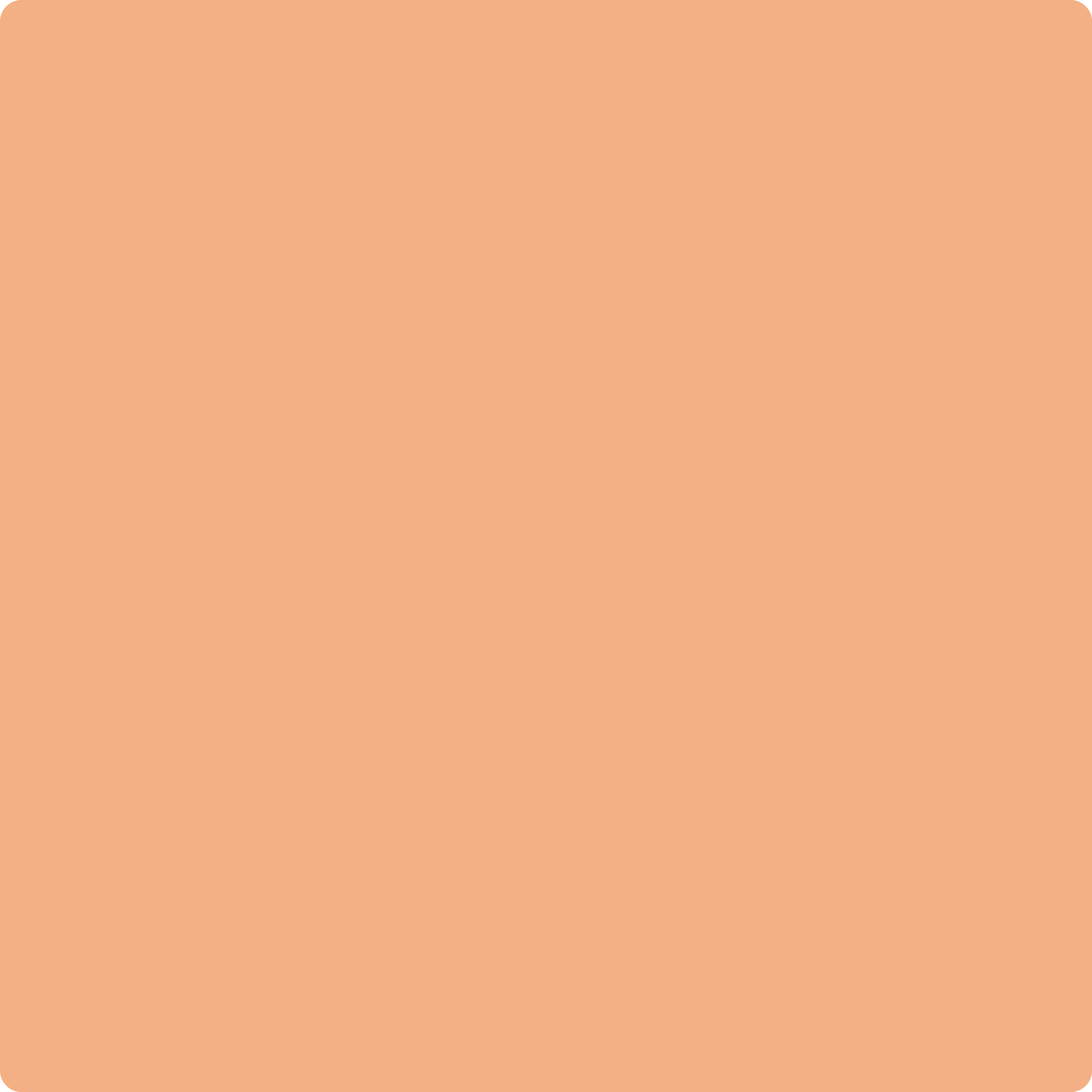 Benjamin Moore's paint color 2167-40 Toffee Orange from Cincinnati Color Company.