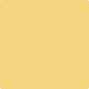 Benjamin Moore's paint color 298 Broadway Lights from Cincinnati Color Company.