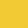 Benjamin Moore's paint color 343 Sunrays from Cincinnati Color Company.