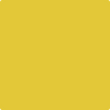 Benjamin Moore's paint color 357 Yellow Hibiscus from Cincinnati Color Company.