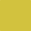 Benjamin Moore's paint color 364 Citrus Blast from Cincinnati Color Company.