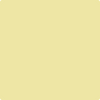 Benjamin Moore's paint color 367 Sunny Side Up from Cincinnati Color Company.