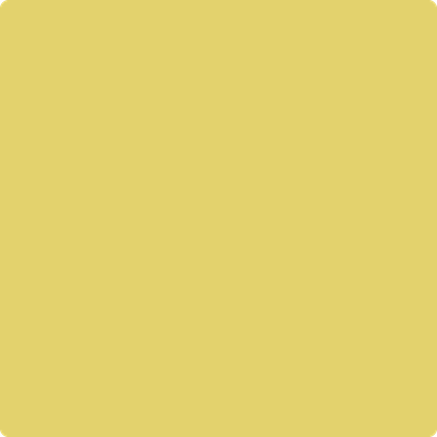 Benjamin Moore's paint color 370 Yellow Tone from Cincinnati Color Company.