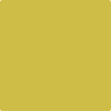 Benjamin Moore's paint color 371 Bright Gold from Cincinnati Color Company.