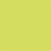 Benjamin Moore's paint color 397 Chamomile from Cincinnati Color Company.