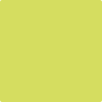 Benjamin Moore's paint color 397 Chamomile from Cincinnati Color Company.
