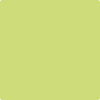 Benjamin Moore's paint color 403 Candy Green from Cincinnati Color Company.