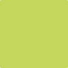 Benjamin Moore's paint color 404 Electric Slide from Cincinnati Color Company.