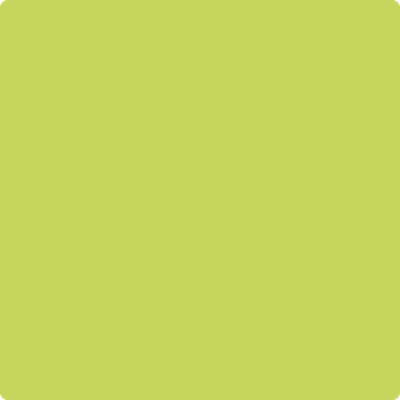 Benjamin Moore's paint color 404 Electric Slide from Cincinnati Color Company.
